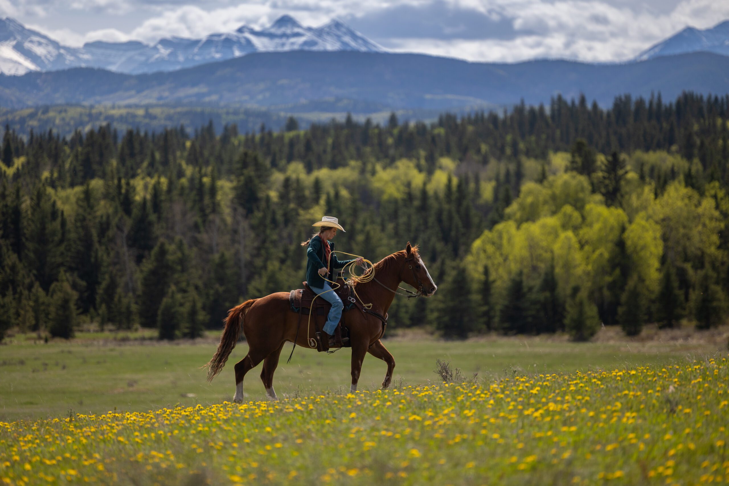 What to Expect in Heartland Season 18