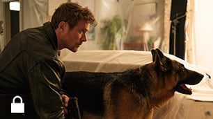 Stream Hudson & Rex Season 7 on UP Faith & Family